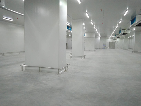 大型物流仓储泡芙APP短视频建设