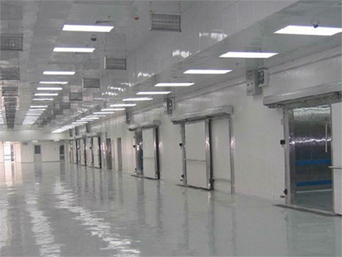 大型物流仓储泡芙APP短视频建造安装