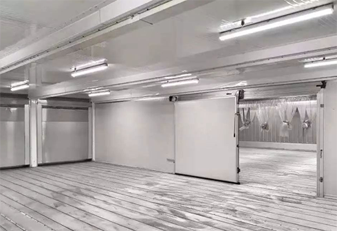 食品泡芙APP短视频建造安装