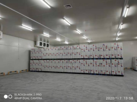 生鲜食品物流泡芙APP短视频造价费用