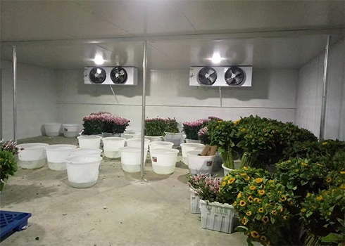 鲜花保鲜泡芙APP短视频建造