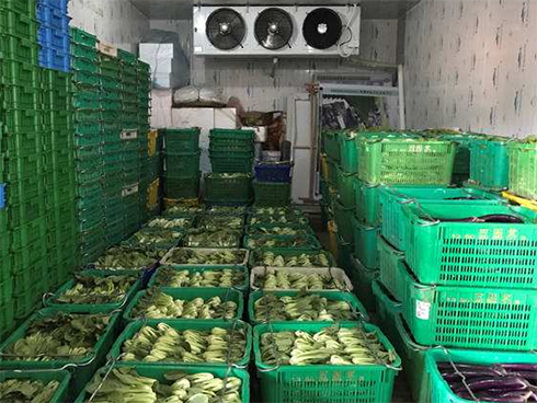 保鲜泡芙APP短视频建造厂家