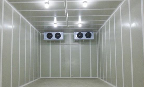气调泡芙APP短视频建造安装
