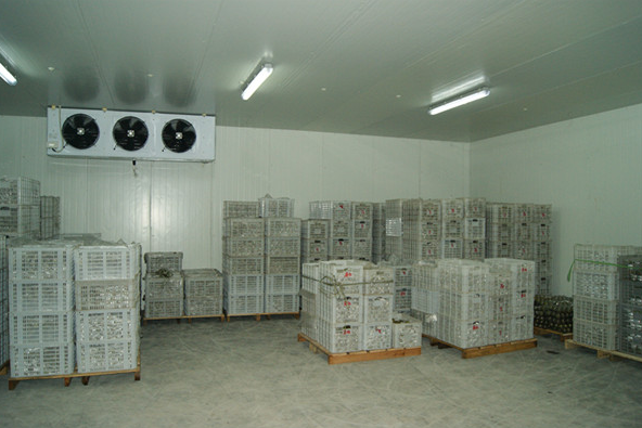 气调泡芙APP短视频建造厂家
