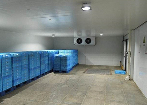食品泡芙APP短视频建造安装公司
