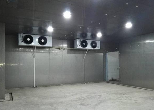 土豆保鲜泡芙APP短视频建造