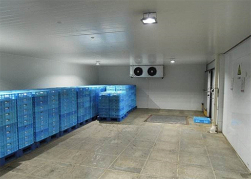 保鲜泡芙APP短视频建造公司