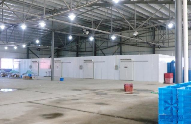 啤酒泡芙APP短视频建造公司