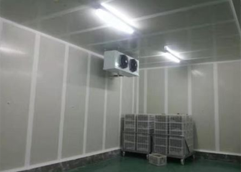 食品泡芙APP短视频建造价格