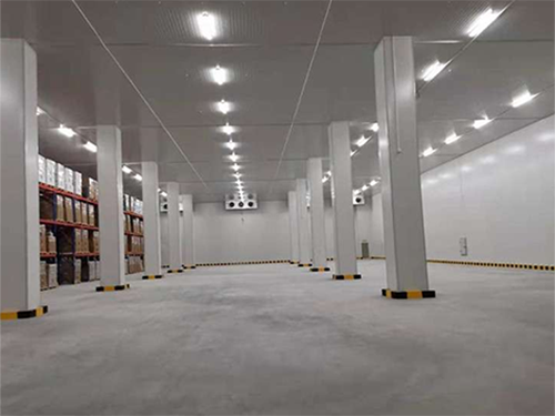 物流泡芙APP短视频建设安装