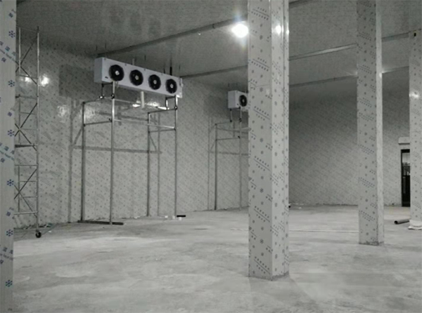 速冻泡芙APP短视频建造注意事项
