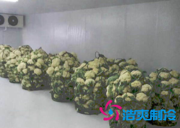 食品泡芙APP短视频保鲜库设计安装方案及其储藏效果