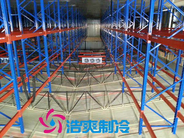 建造安装5000㎡鸡排低温冷藏库造价费用是多少？