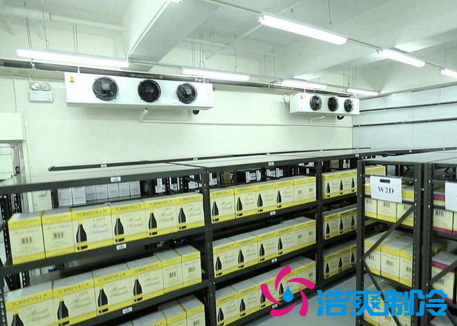 建造一个红酒恒温泡芙APP短视频需要多少费用？