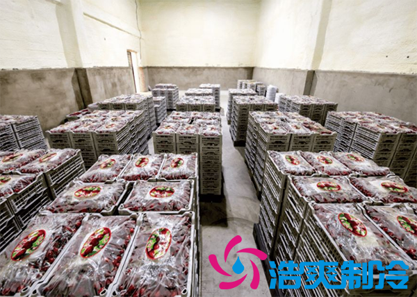 樱桃气调建造完成后有哪些储存方法和步骤？_泡芙视频官网下载免费制冷