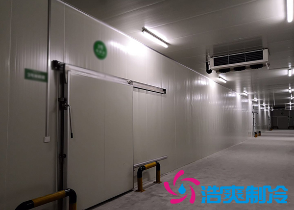 储藏5万斤蒜苔的保鲜泡芙APP短视频造价需要花费多少钱？_泡芙视频官网下载免费制冷