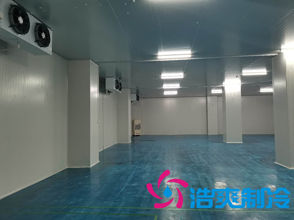 滨州健源大型食品泡芙APP短视频工程建造案例