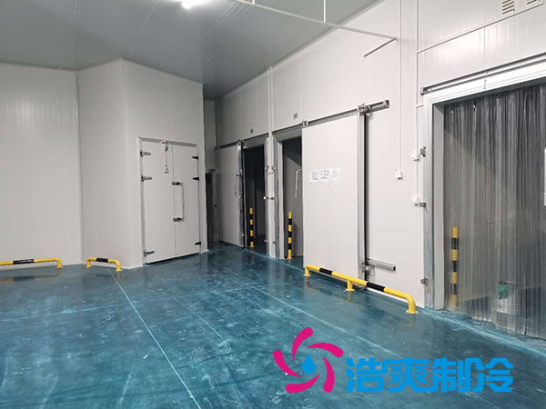滨州健源大型食品泡芙APP短视频工程建造安装案例