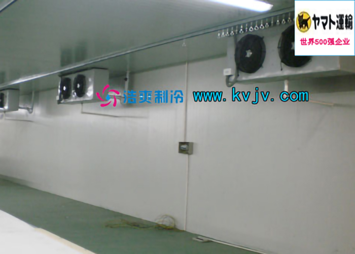雅玛多（中国）大型物流泡芙APP短视频设计建造工程案例