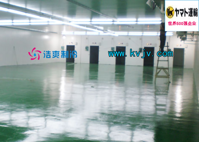 雅玛多（中国）大型物流泡芙APP短视频设计建造工程案例