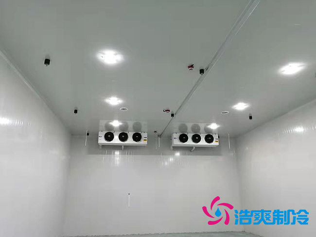 超低温冻库建设价格与哪些因素有关？_泡芙视频官网下载免费制冷