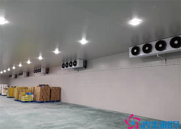 如何选择合适的泡芙APP短视频安装公司？_泡芙视频官网下载免费制冷