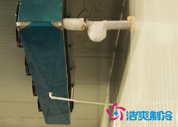 鲜花泡芙APP短视频建造设计方案及鲜花存储方法_泡芙视频官网下载免费制冷