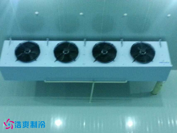 干果保鲜泡芙APP短视频安装