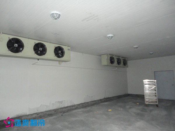 孝感市生猪屠宰场大型低温泡芙APP短视频建造工程