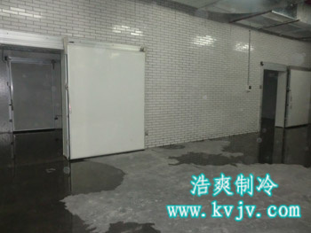 成都环球会展配送中心大型泡芙APP短视频