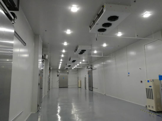 100平方米泡芙APP短视频建造成本多少钱？
