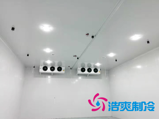 100万斤水果泡芙APP短视频安装价格及建造面积_泡芙视频官网下载免费制冷