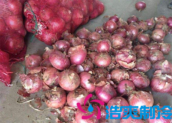 建一个洋葱保鲜库要多少钱呢？_泡芙视频官网下载免费制冷