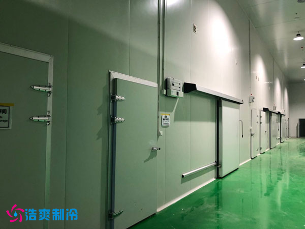 100吨香菜保鲜泡芙APP短视频安装成本是多少？_泡芙视频官网下载免费制冷