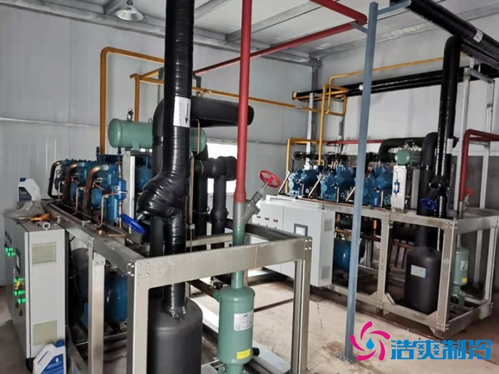 上海儒汇净菜中央厨房泡芙APP短视频建造工程案例