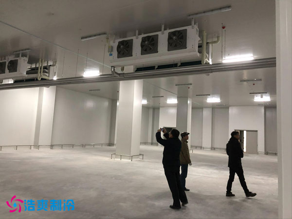 建造一间凤梨保鲜泡芙APP短视频费用需要多少钱？_泡芙视频官网下载免费制冷