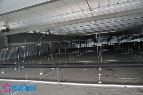 湖北冷源冷链高低温泡芙APP短视频建造安装