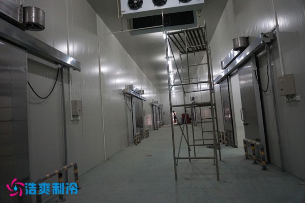 湖北冷源冷链高低温泡芙APP短视频建造安装