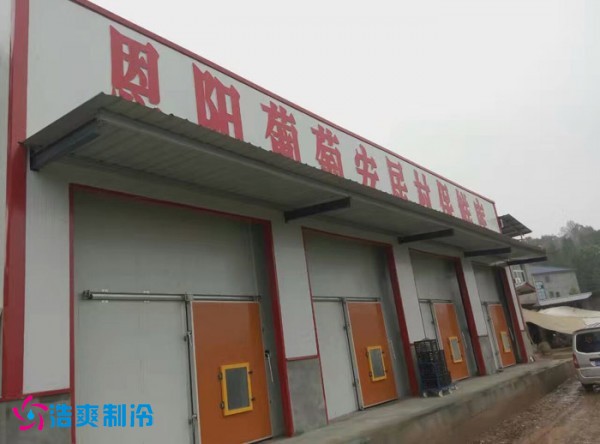 巴中葡萄种植合作社气调保鲜泡芙APP短视频建造