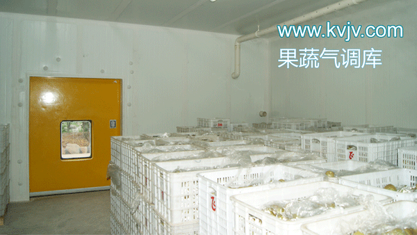 衢州蜜之源果业气调保鲜泡芙APP短视频建造工程