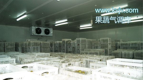 衢州蜜之源果业气调保鲜泡芙APP短视频建造工程