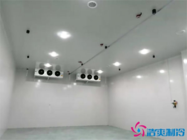 调味料泡芙APP短视频温度需求，建一个食品调味料泡芙APP短视频多少钱？_泡芙视频官网下载免费制冷