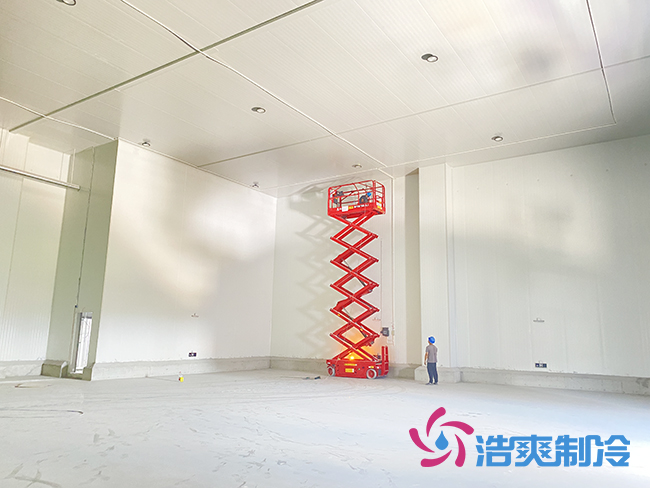 50000立方杭州盒马生鲜食品泡芙APP短视频工程