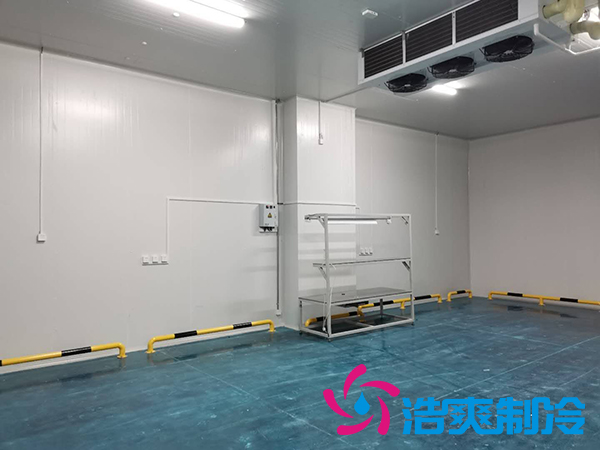 建一个1000平米蔬菜恒温库成本多少钱？_泡芙视频官网下载免费制冷