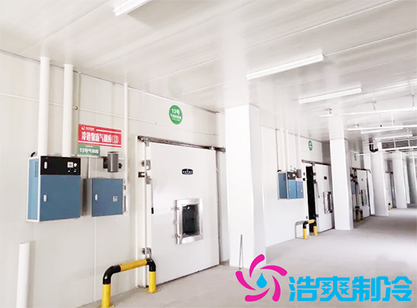建造600m³农产品冷藏保鲜库多少钱？如何计算泡芙APP短视频制冷量_泡芙视频官网下载免费制冷