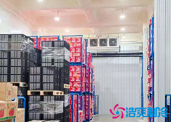 大型蔬菜泡芙APP短视频建造价格多少钱,果蔬保鲜冷藏库安装设计规范-泡芙视频官网下载免费制冷