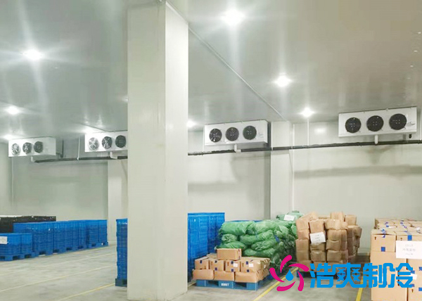 大型蔬菜泡芙APP短视频建造价格多少钱,果蔬保鲜冷藏库安装设计规范-泡芙视频官网下载免费制冷