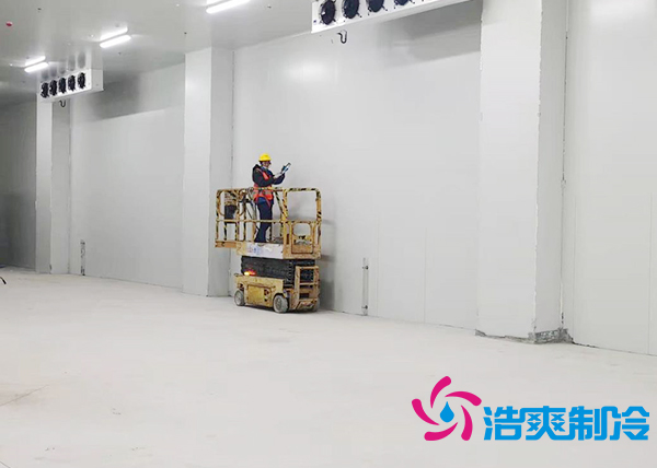 建造安装一个200吨泡芙APP短视频造价要花多少钱?-泡芙视频官网下载免费制冷