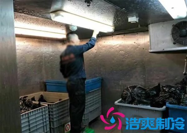 垃圾泡芙APP短视频房设计方案,垃圾泡芙APP短视频价格标准规范多少钱-泡芙视频官网下载免费制冷