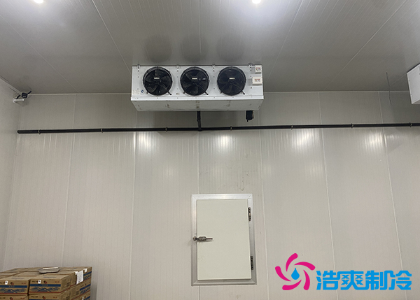 建一个500吨的大蒜泡芙APP短视频每平方米要花多少钱?-泡芙视频官网下载免费制冷